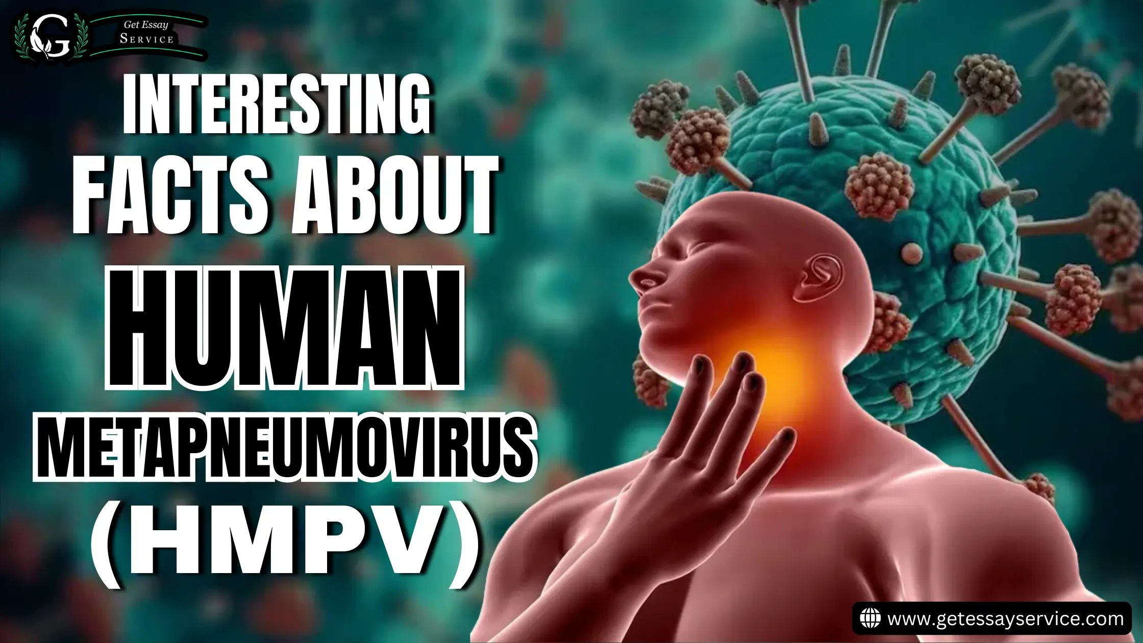 Interesting Facts About Human Metapneumovirus (Hmpv)