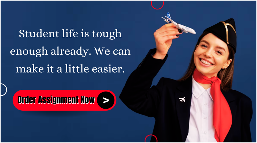 Affordable Aviation Assignment Help at BEWS - Order Now
